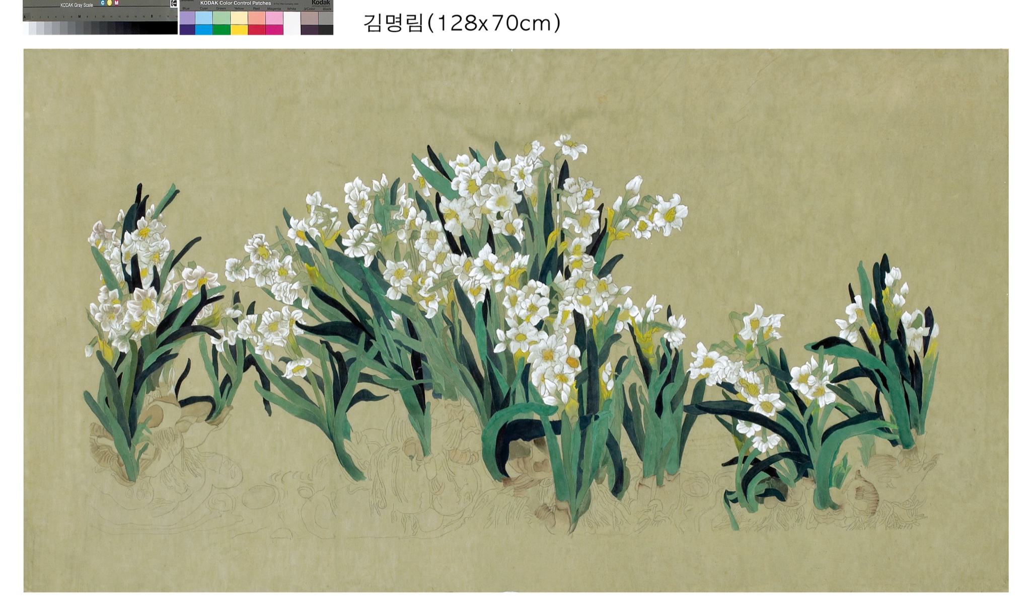 수선화