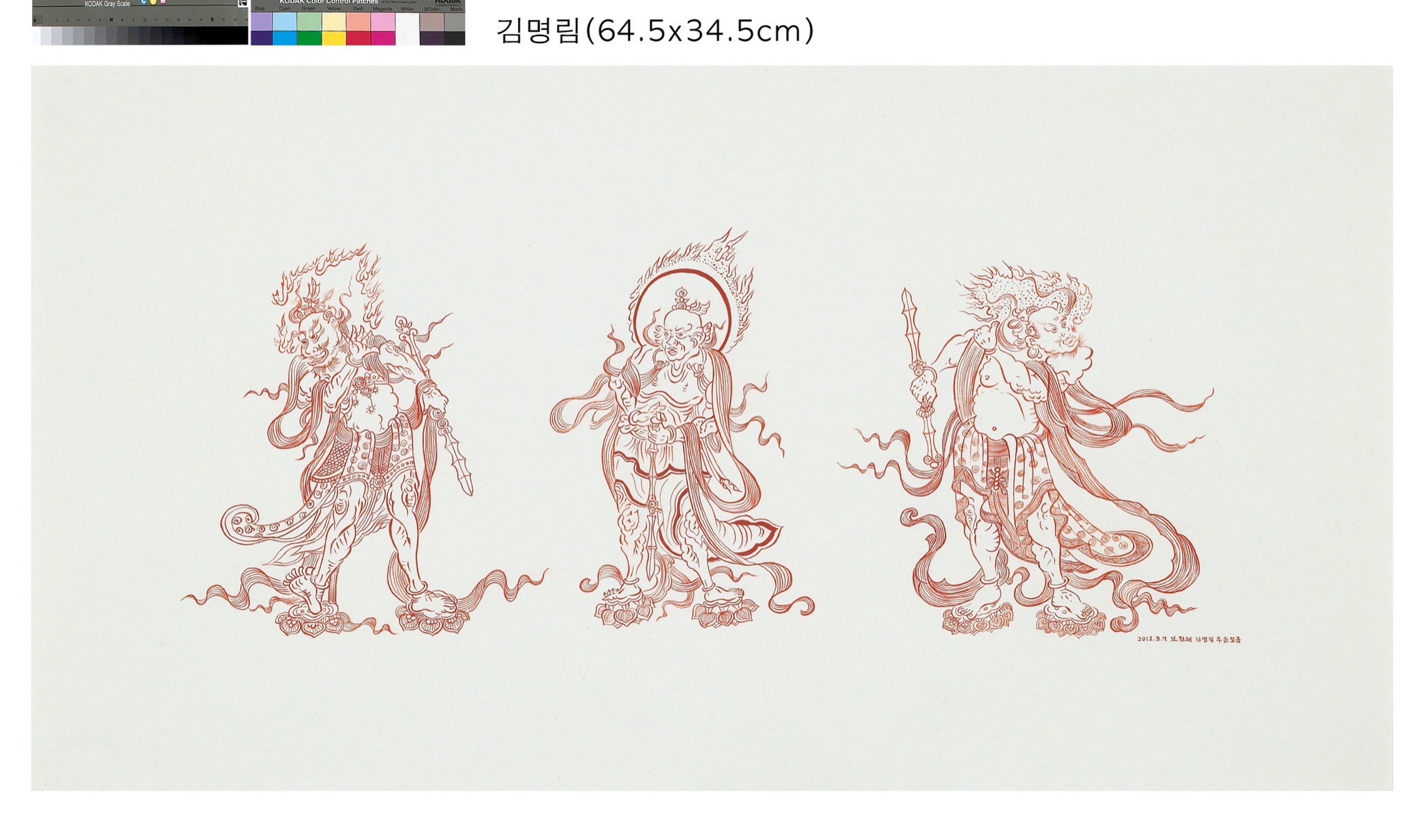 신장도